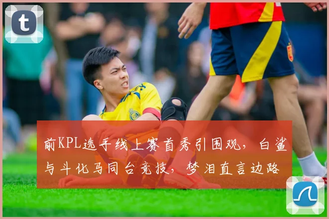 前KPL选手线上赛首秀引围观,白鲨与斗化马同台竞技,梦泪直言边路交锋决定胜负__br_
