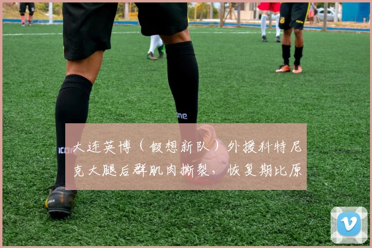大连英博(假想新队)外援科特尼克大腿后群肌肉撕裂,恢复期比原计划延长30%